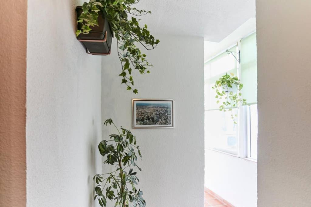 Original Y Coqueto Apartamento Junto A Plaza Mayor Apartment Madrid Exterior photo